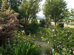 Une vue du jardin de Valérie Sarrazin